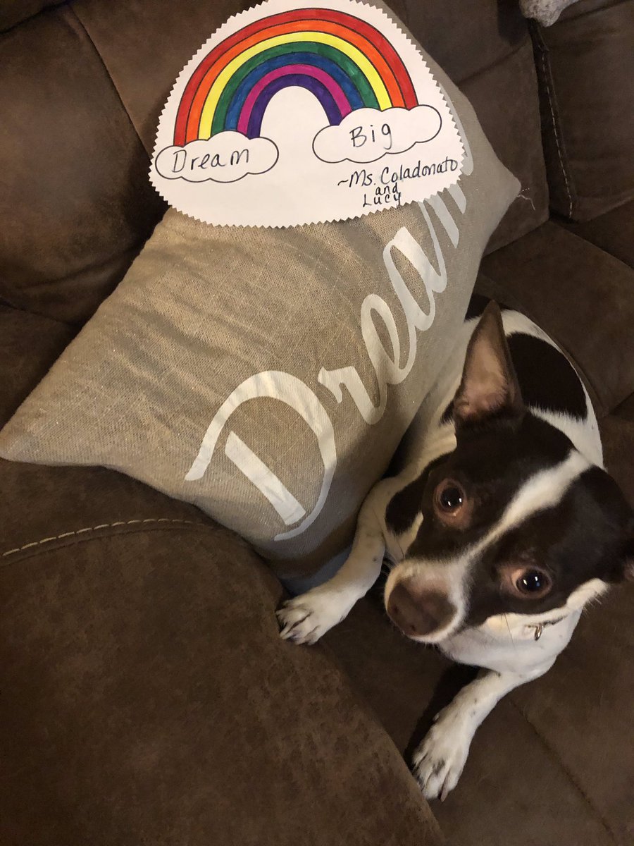 MissGina253's tweet photo. Good Morning and Happy Thursday!  #rainbowsofhope #team253 @D21_Community @NYCSchools @DOEChancellor @ExecSuptBKSouth @thedegoviagroup @ChaimDeutsch https://t.co/eYUe2P5t9A