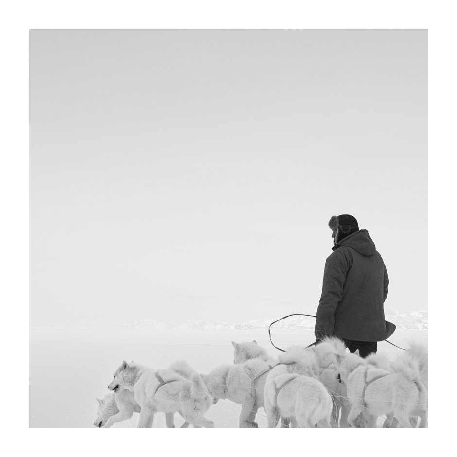 patrickemsphoto's tweet photo. QAAMANEQ (GLOW OF LIGHT)

#PatrickEmsPhotography #PatrickEms #VisualDecadence #FineArtPhotography #art #photo #photography #photographylovers #blackandwhite #monoart #fineart #greenland #grønland #north #cold #ilulissat #ice #arctic #greenlanddog  #greenlanddog #dog #sledgedog https://t.co/iKQhIvg57u