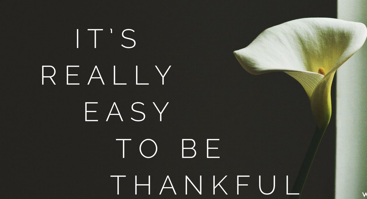 keysforthought's tweet photo. It’s really easy to be thankful, try it.
#ThursdayMotivation #thursdayvibes #itsreallyeasyto #ThankfulThursday #ThursdayThoughts #ThursdayWisdom #memesdaily #MotivationalQuotes #dailymemes #grateful #CoronavirusPandemic #StayHome https://t.co/tJRCvcDwoC