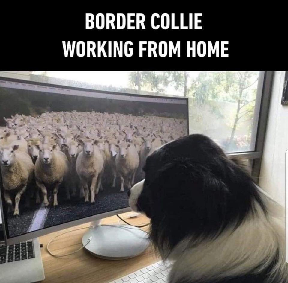 TrueBartoszcze's tweet photo. pokażcie to Jagoskiemu 
cece @LidiaDmnsk @AlicjaCzubek et al #TeamBorder https://t.co/G5Nx7oeZfY
