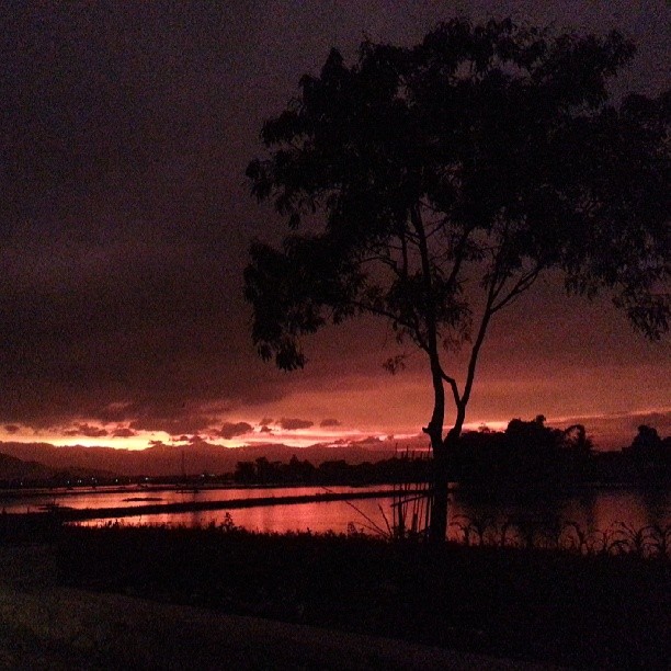 Gilang Mahesa tweet media