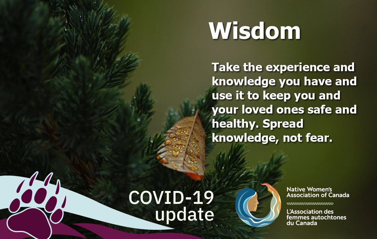NWAC_CA's tweet image. It is in difficult times that we need to reflect on our traditional teachings the most. Wisdom in these uncertain times means taking your experience and knowledge and using it to keep yourself and your loved ones safe. It means choosing to spread knowledge over fear.