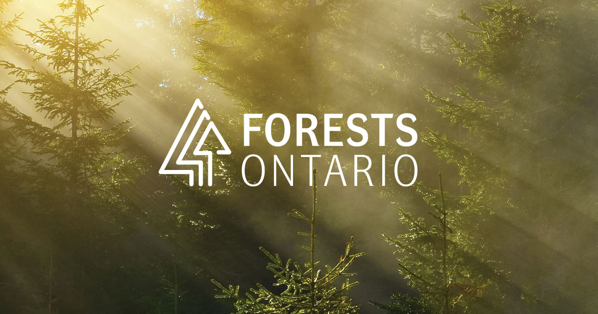 Forests Canada tweet media