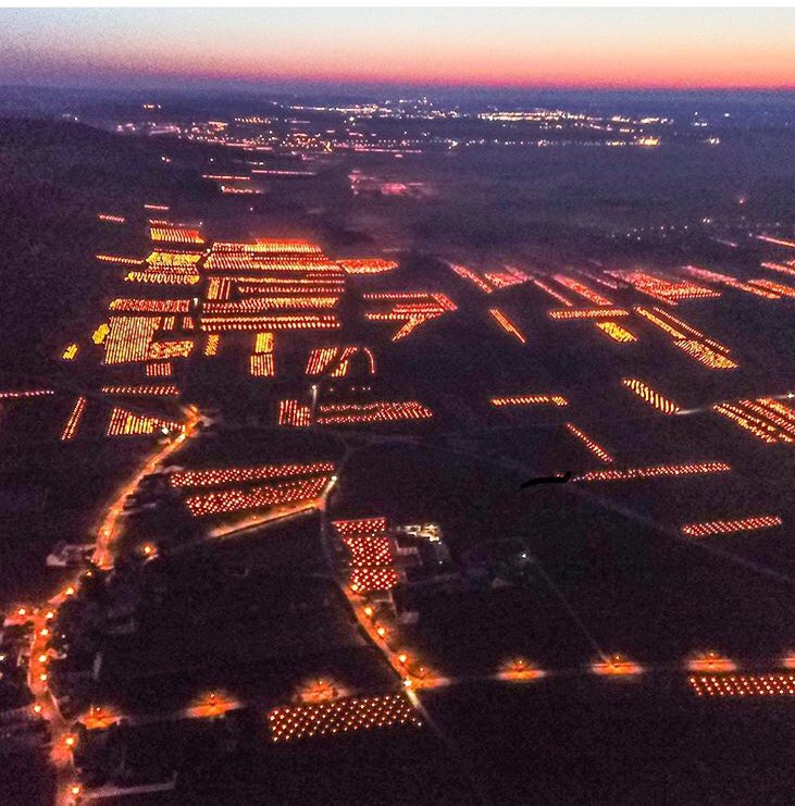 Photo de Vincent Dancer à Chassagne-Montrachet et Puligny. instagram.com/p/B-eUOlep_0u/… #vin #bourgogne #gel