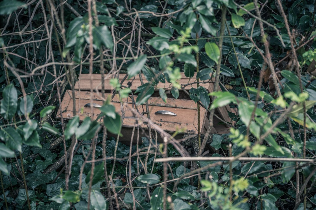 [THREAD]  #PictureOfTheDay 2nd April 2020: Drawers in the Bush  #photooftheday  https://sw1a0aa.pics/2020/04/02/drawers-in-the-bush/