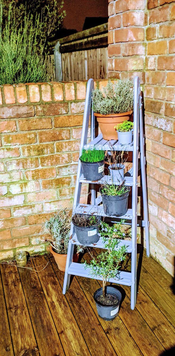 Putting construction skills &amp; materials to good use! This was my grandparents step ladder, after losing them three years ago, finding this treasure has become a beautiful part of my garden. This was one inspirational pic shared with my students this week <a href="/GCCABE/">GCCABE</a> <a href="/Gloscol/">Gloucestershire College</a>