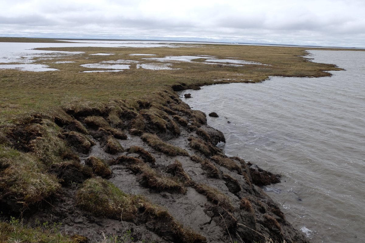 These inland waters are closely linked to terrestrial carbon cycling, and so carry signals of change in their surrounding landscapes. One way to identify change is with the isotope  #Radiocarbon