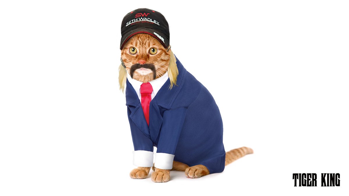 Today's OMB.
#SmartCat <a href="/OneMinuteBriefs/">One Minute Briefs ⏱️</a>