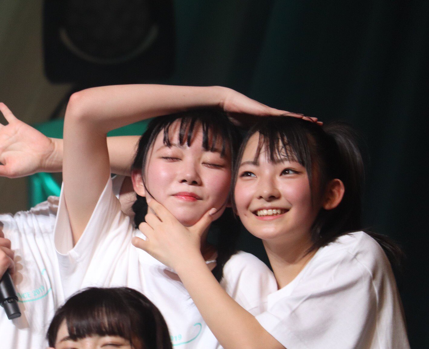 本田珠由紀 永田詩央里 パネル ノイミー HMV | mdh.com.sa