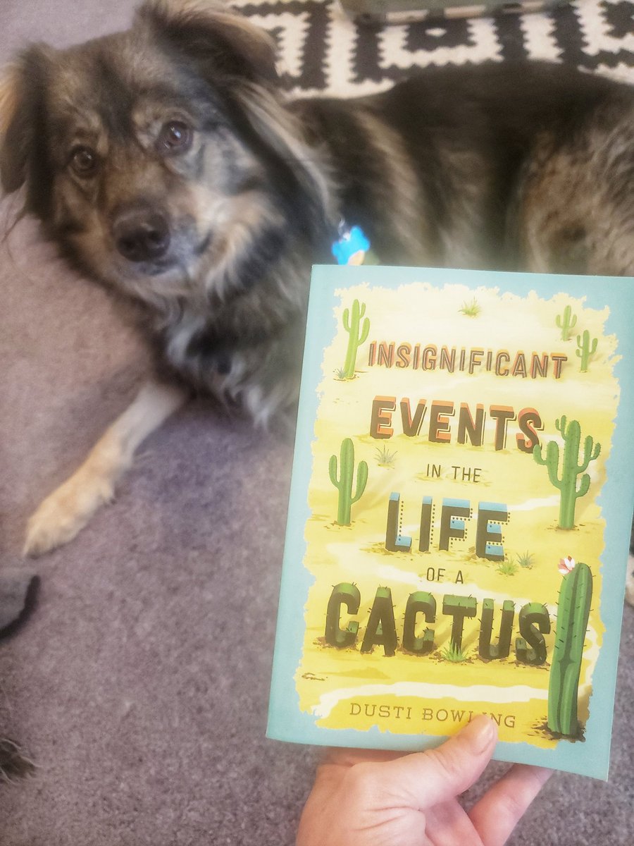 Jillian Everage tweet media