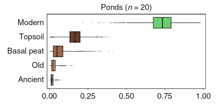 We can use radiocarbon ages to estimate contributions from different soil layers (proportional contribution on x-axis).In shallow ponds, we see that most of the carbon was from modern organic matter: