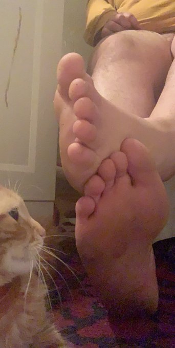 @subloser4 i know he&rsquo;s a bait poster but anyone else can message me for feet pics $5 a pic ❤️❤️ https://t<a class="tags" target="_blank" title="On Twitter" href="/?out=eyJ0eXAiOiJKV1QiLCJhbGciOiJIUzUxMiJ9.eyJpYXQiOjE3MjQ0MjM0MzQsImlzcyI6InR3cG9ybnN0YXJzLmNvbSIsIm5iZiI6MTcyNDQyMzQzNCwiZXhwIjoxNzU1OTU5NDM0LCJyZWRpcmVjdF91cmwiOiJodHRwczovL3R3aXR0ZXIuY29tL3N1Ymxvc2VyNCJ9.5hg7FyRi6my9FU5ZEgBvzVjZ_2QTNpQU1gemjwo7DwAQNUhqGlXaWhWV0rt4Dby5YuGergPnwhm0UahWLr460A">@subloser4</a>