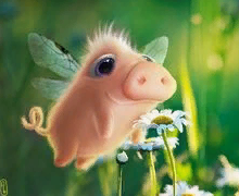 marillion13's tweet photo. @EstherThePig LOL look what I just found on #Printrest, a pig with wings... 
🤣🤣🤣🐷🐷🐷💖💖💖 https://t.co/H1uhlQhniO