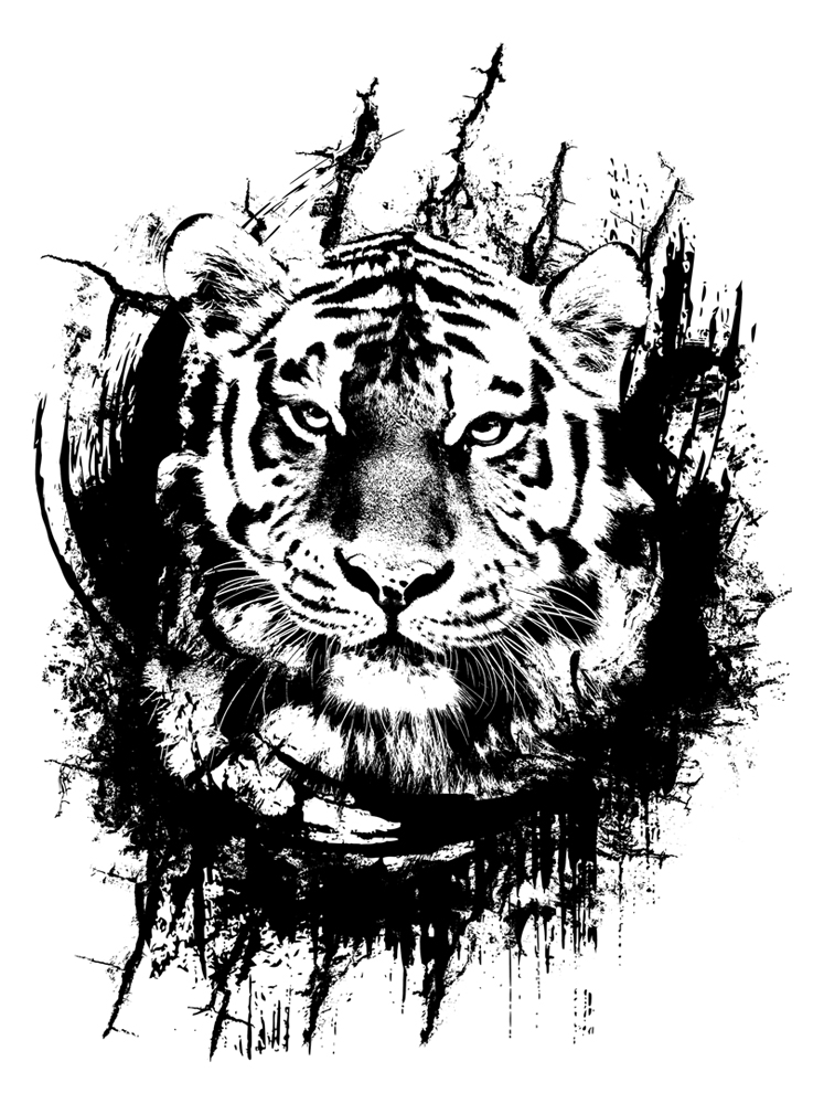 松葉孝仁 Tシャツデザイナー Ar Twitter T Shirts Strong Tiger T Co Bhdi5kd743 Tshirt Design Graphic Cat Cute Yunique Original Tシャツ オリジナルtシャツ Tシャツデザイン グラフィック ストリート アート クール ストロング タイガー