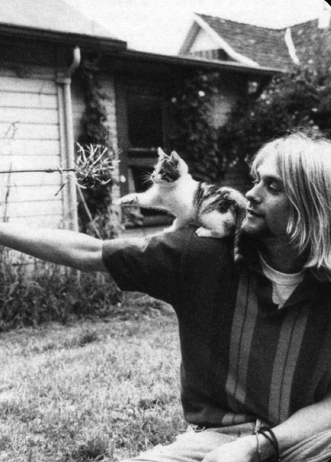 “Dreaming of the person you want to be is wasting the person you already are.” -Kurt Cobain(February 20 1967-April 5 1994) A.K.A Singer of the rock band Nirvana.