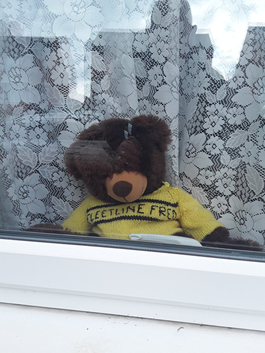 fleetlinetaxis1's tweet photo. If you're Going on a Bear Hunt with your kids this afternoon, see if you can spot Fleetline Fred in #Weymouth. https://t.co/sBjpAojIge