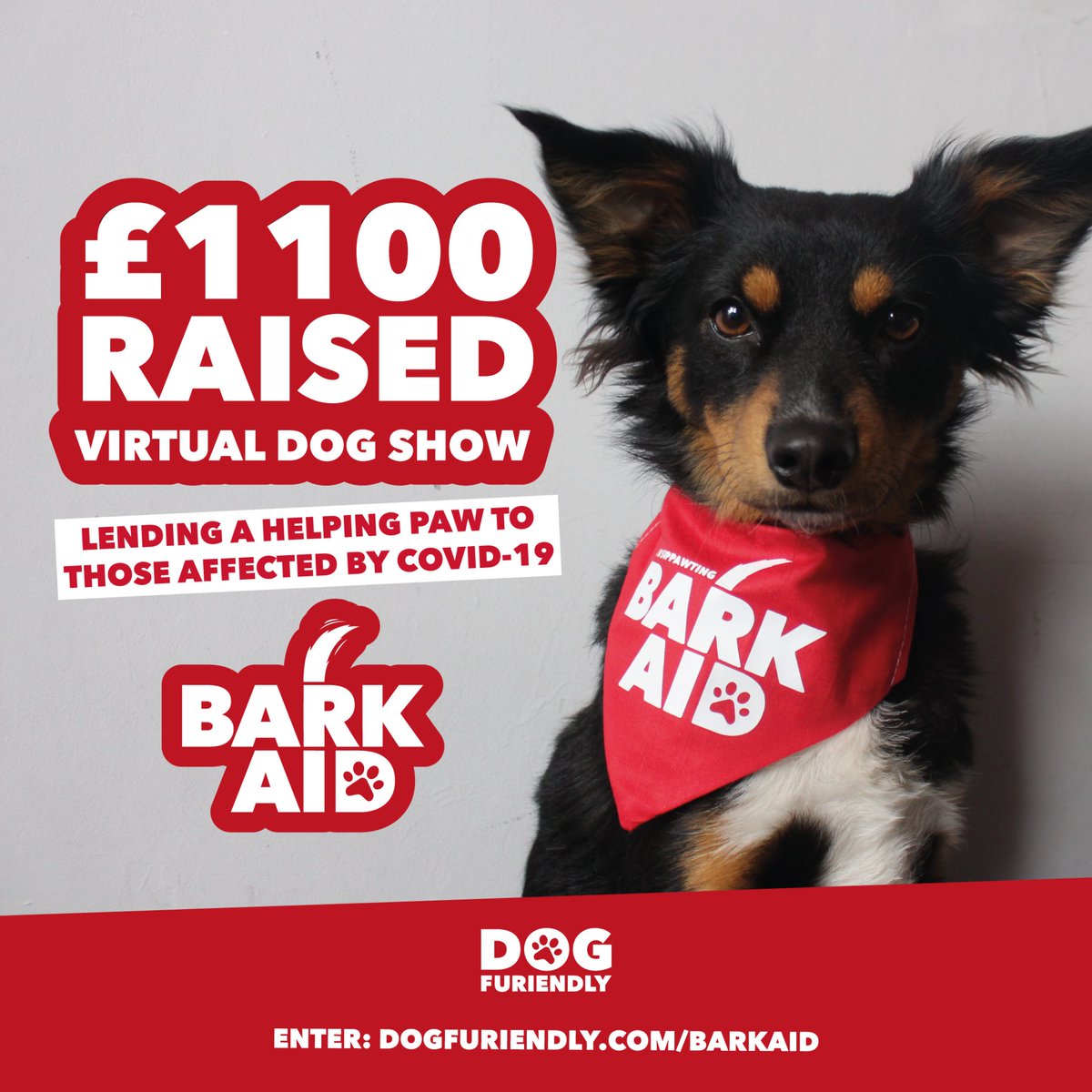 DogFuriendly's tweet photo. Our Virtual Dog Show #barkaid2020 has raised £1100 for vulnerable communities affected by #COVID19! Plenty of time to enter adorable photos of your pooch. Lots of prizes to win all while suppawting 22 amazing charities. To enter visit https://t.co/Y2R0WYm8xY 🐾 @WalesOnline https://t.co/cgpikGVZBm