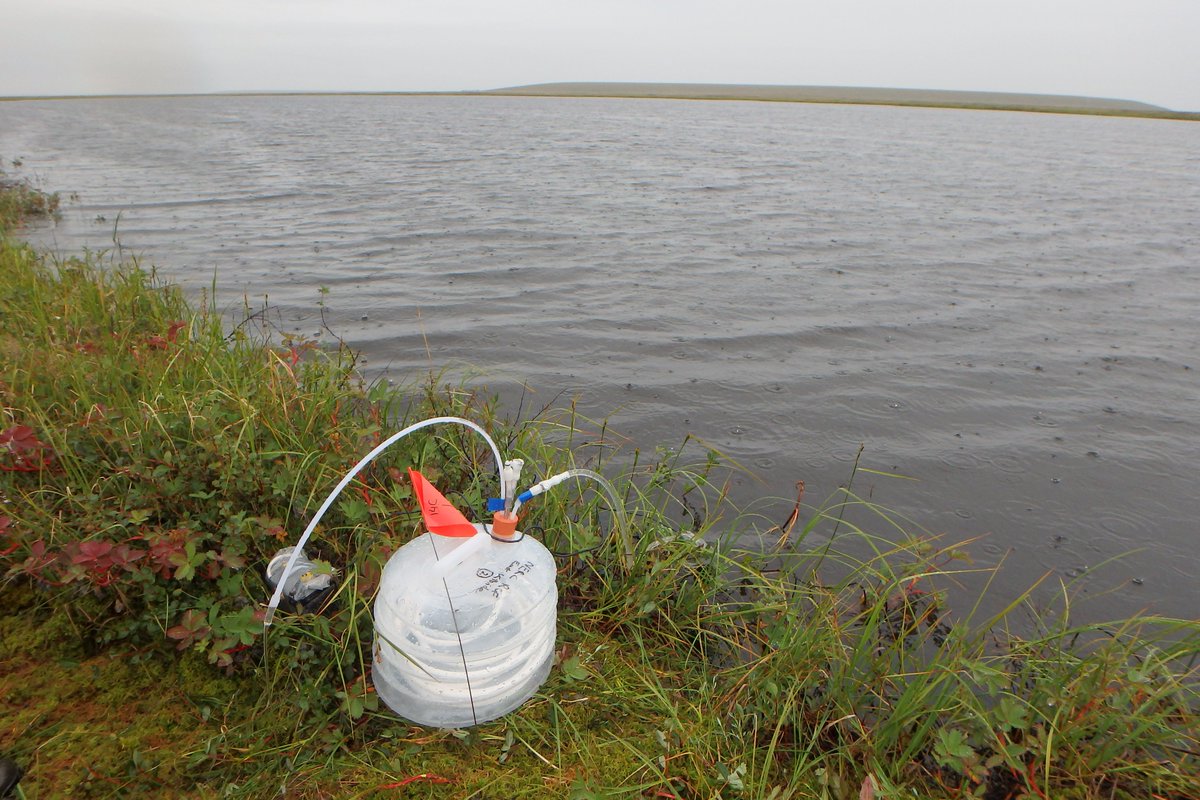 But we didn't see any increase in carbon dioxide and methane emissions where older carbon was being released from thawing permafrost. In fact, we saw the opposite. Inland waters with higher carbon concentrations tended to be younger