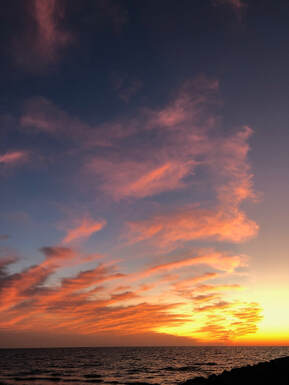 David Staal tweet media