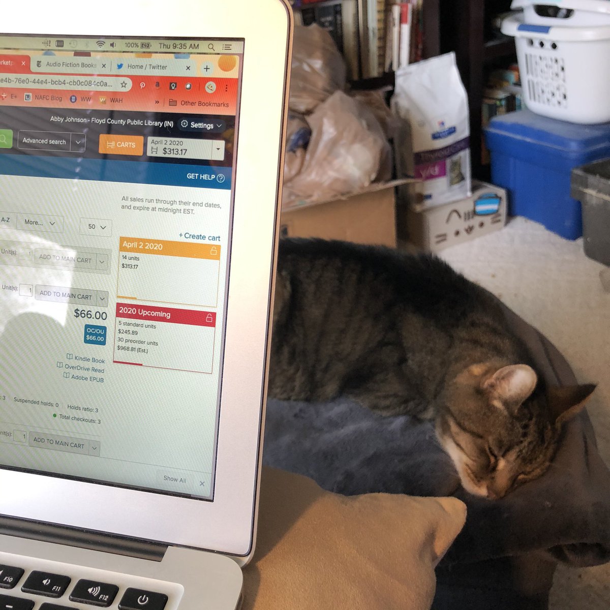abbylibrarian's tweet photo. My coworker is sleeping on the job. #WorkFromHome #librarylife #coronalibrary https://t.co/lpWo2kMZg4