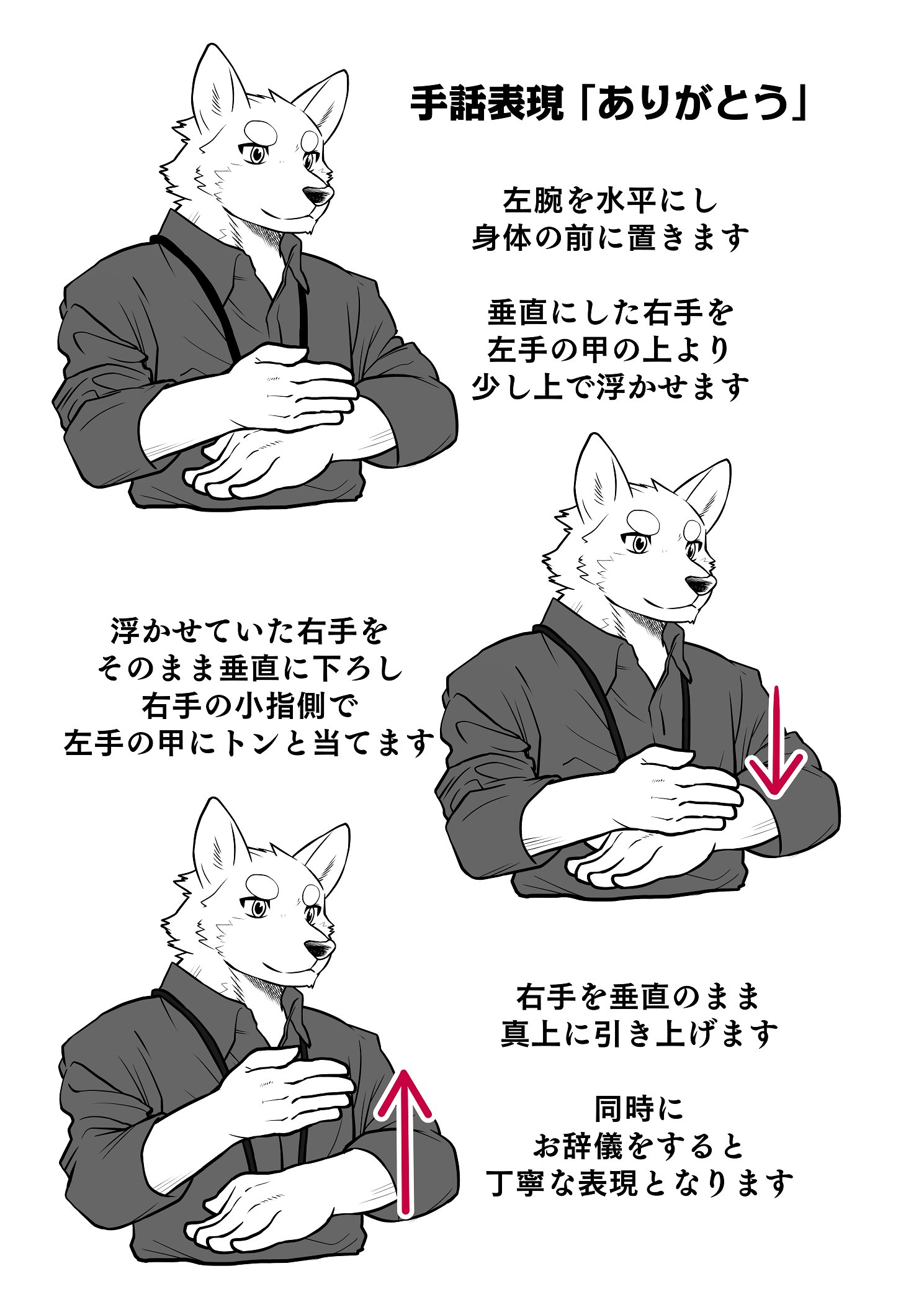 朔 今日から使える日本手話単語 ありがとう Japanese Sign Language 右利きの方はこのイラスト通りの表現で 左利きの方は左右逆の表現で問題ありません れっつ手話表現 T Co Ugbbqoobip Twitter