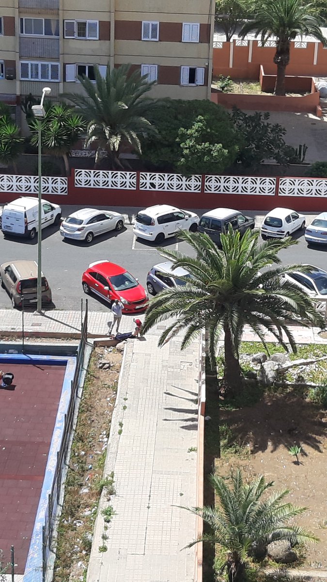 misterCamacho's tweet photo. @PoliciaLPA c/Domingo Padrón.  Uno en casa y estos incívicos tomando el sol. https://t.co/bKzSBpfVgy
