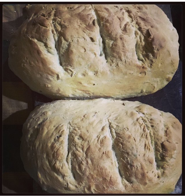 PlushDragon_'s tweet photo. I DID IT! I MADE BREAD! IT'S ALL OVER FOR YOU BITCHES NOW! AHAHAHAHAAA! #breadisbae #secondtimelucky #homebaking #thisiswhyImfat https://t.co/7U4CMUPgx6