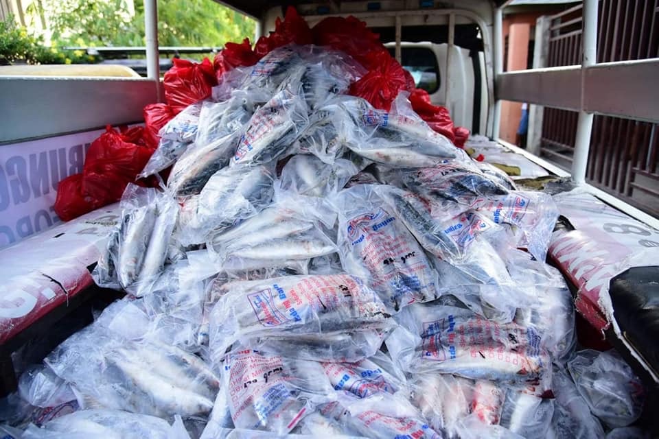 angelagail08's tweet photo. May frozen goods ang rasyon namin dito sa Davao. Corrupt? Nope. Not in my city. LGU ang may problema sa inyo, not Pres Duterte. Mga tanga. 
#istandwiththepresident
@iamsofiaandres @MissMarisRacal https://t.co/nmnwbcOR0n