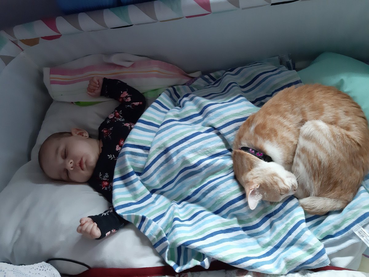 Luna La Guerta Auf Twitter Abrazo Enorme Te Dejo Una Juli Rollinga Y Un La Gata Dejo De Odiar A La Bebe A Ver Si Te Ayuda Un Poco T Co Wnggpb22ma