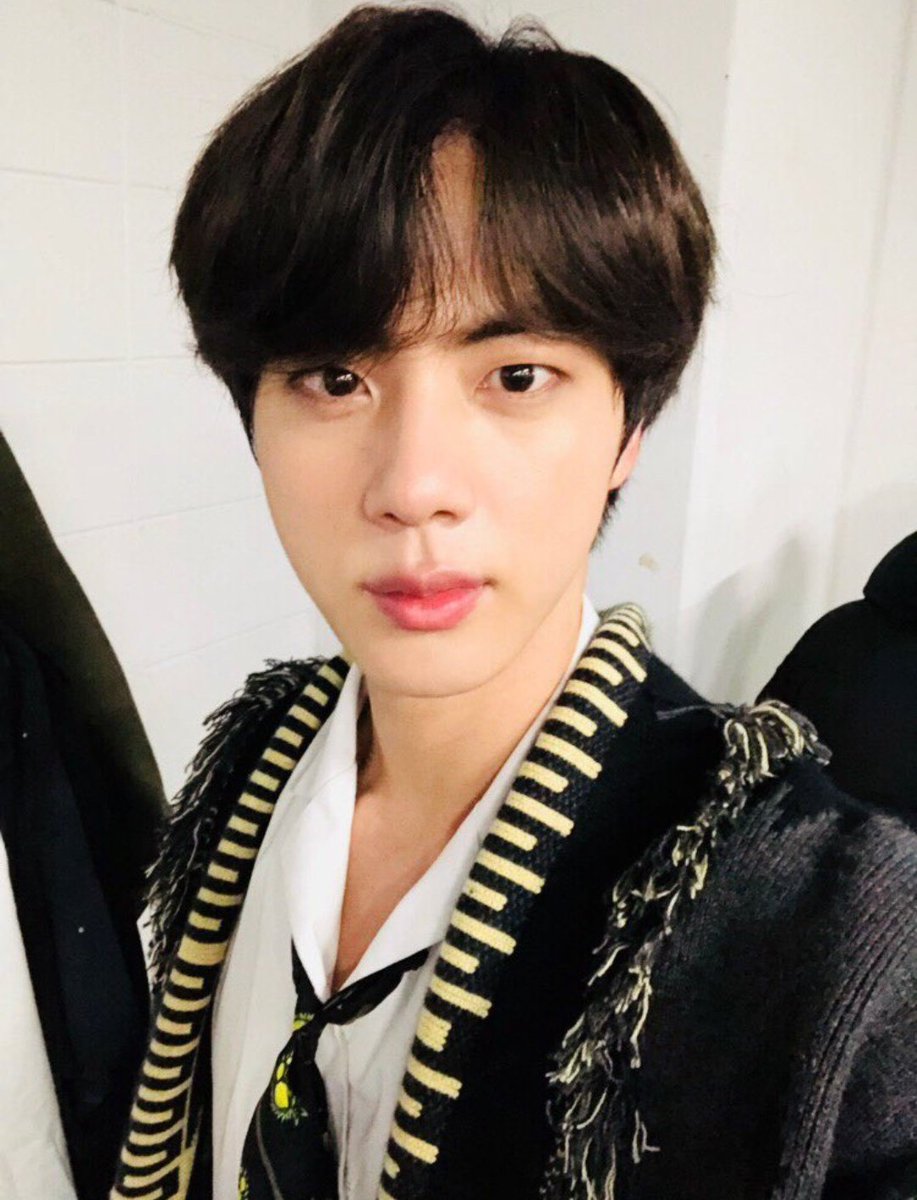 Handsome Seokjinnie