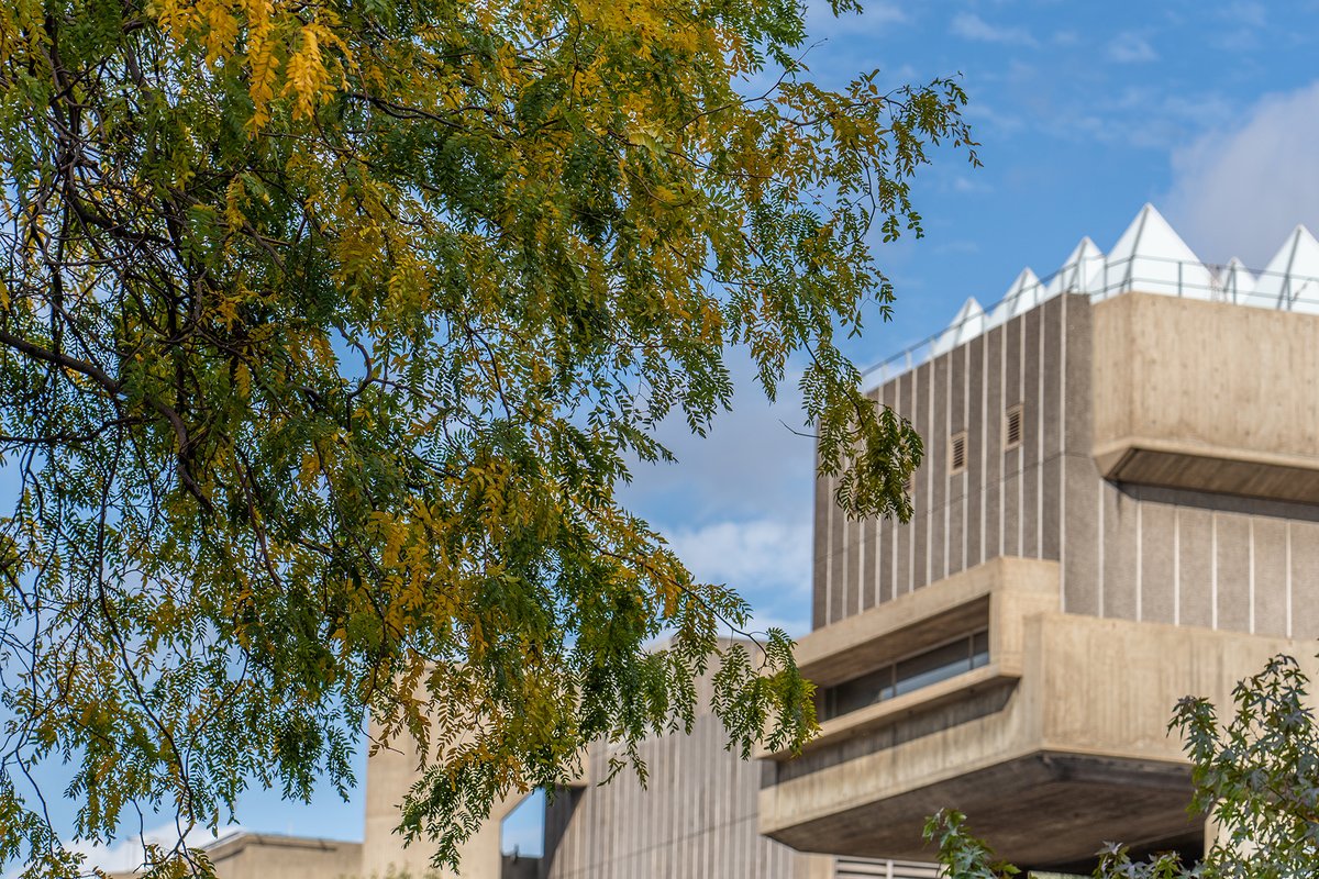 haywardgallery's tweet photo. Our #AmongtheTrees exhibition is closed but we’d love to see YOUR photos of trees snapped from your window, during your morning run or your pre-lockdown travels. Post them with the tag #SpringAmongtheTrees, tell us about the tree and we’ll feature them on @haywardgallery channels https://t.co/70h5SHSRbm