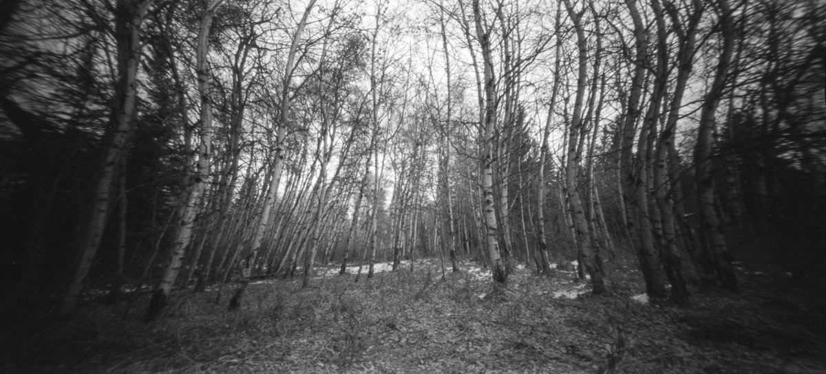 Ethneogenics - 2
It's one of my wibbly wobbly messed up roll shots from the Ondu. Pro-tip, keep the film flat folks! 
#believeinfilm #shootfilmbenice #pinholephotography #lenslessphotography 
Ondu 612 MF / Catlabs X-filim 80