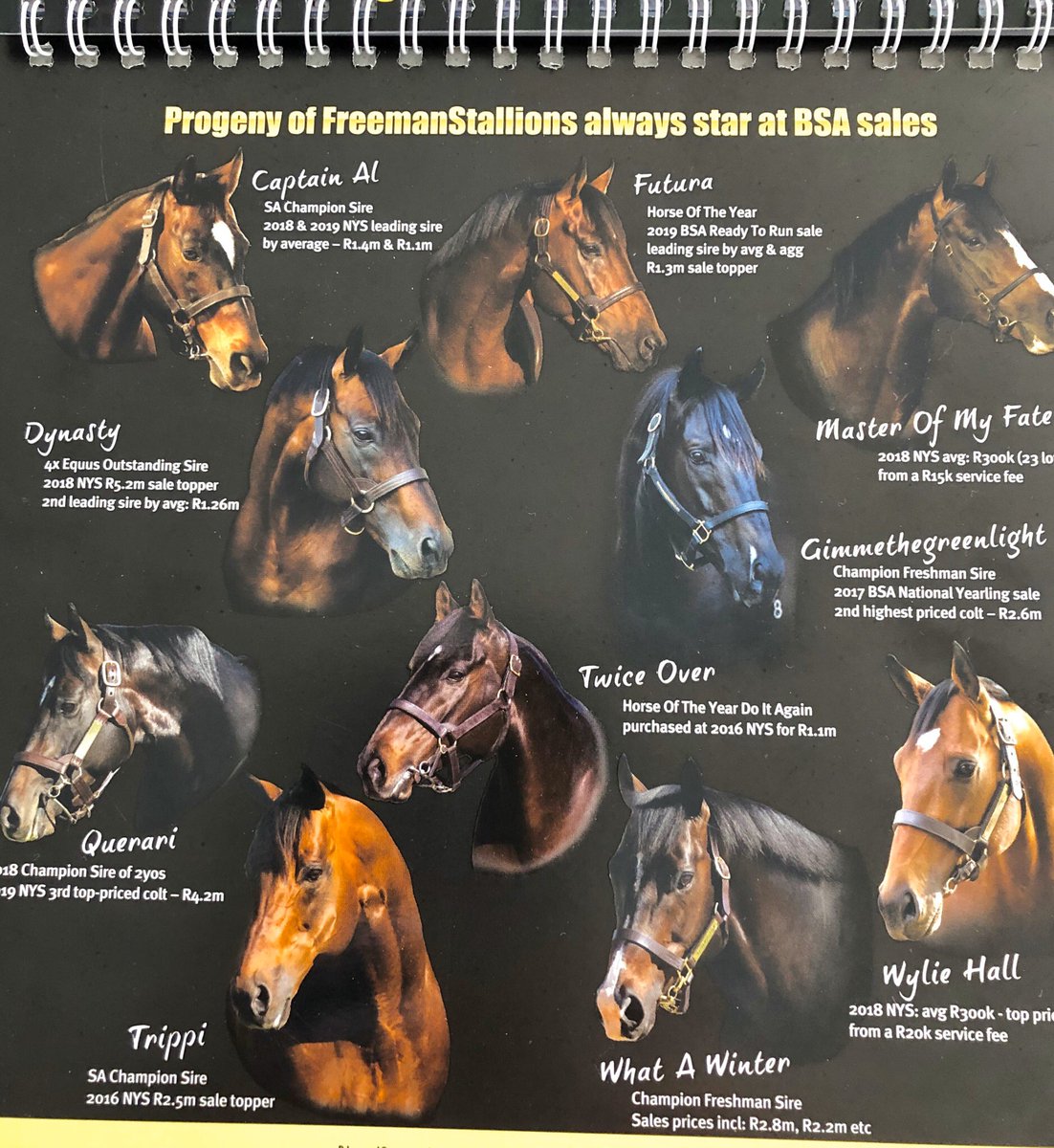 If you don’t have a copy of <a href="/freemanstallion/">FreemanStallions</a> calendar for 2020 you won’t know that April is the 65th birthday of my manager <a href="/JohnTFreeman/">broken back</a> <a href="/freemanstallion/">FreemanStallions</a> - thanks for dedicating this month to me ❣️&amp; my incredible progeny&amp; thanks to <a href="/KlawervleiJohn/">John Koster</a> and team for your care &amp; love