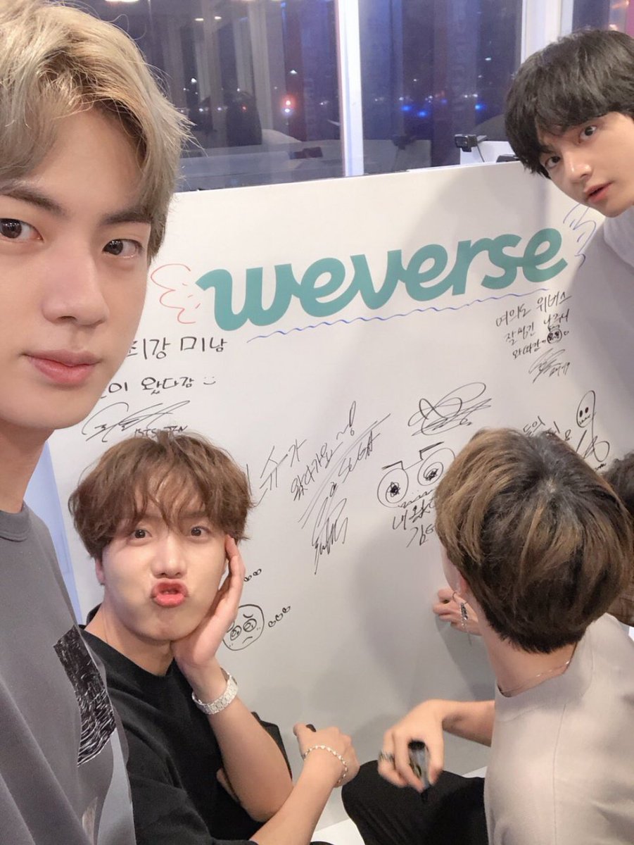 Seokjinnie and his babies