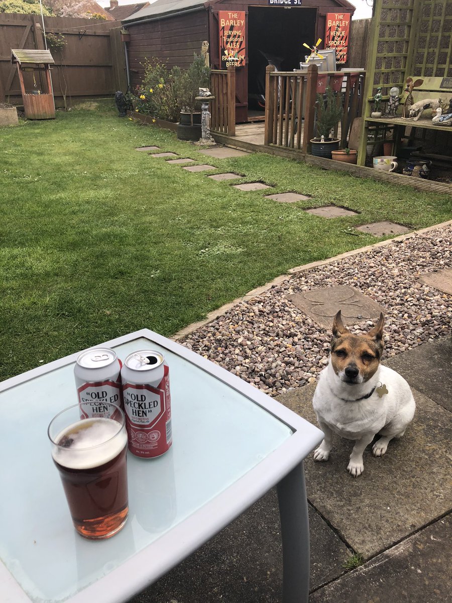 _markbridge73's tweet photo. @mattgoss I have my mate Molly to share these worrying times. Stay safe everyone. https://t.co/xJz87TRbsn