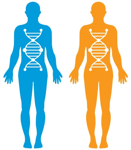 genomicsedu's tweet photo. A ‘faulty’ gene can result in different outcomes for different people - but why? https://t.co/KfIEEusX91 #genetics #genomics #penetrance #expressivity https://t.co/EnIuftTiXw