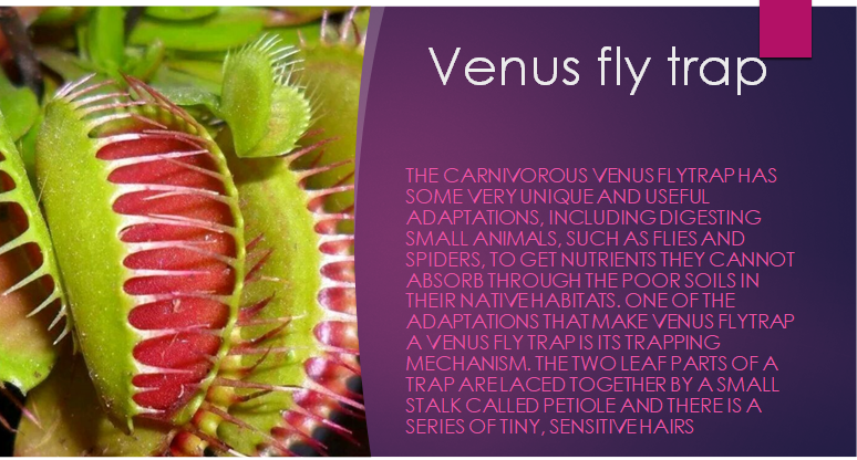 Today's selection of Science learning at TMCS. Well done Alexis, Paulina, Andrew and Millie!@PPatelTMCS <a href="/mrfrankish/">MrFrankish 🥽🧪🔬🧫 ⚗</a> @TimSmithCEO @tmcsjanzan