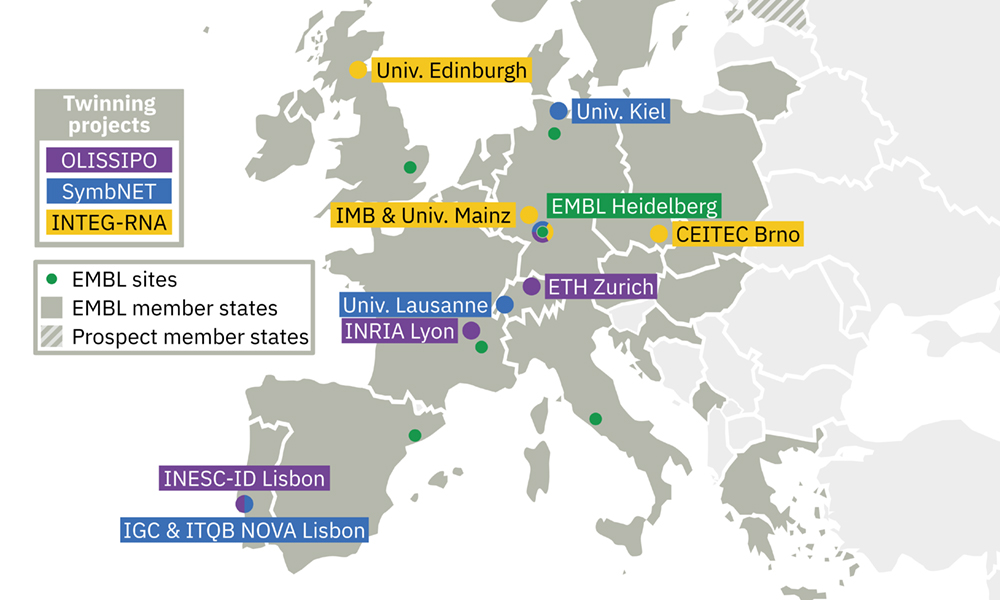 embl's tweet photo. Twinning projects involving @EMBL, institutes in Portugal & the Czech Republic, and others received funding from the @EU_Commission. π
The projects are part of @EU_H2020 & will touch upon computational biology, host-microbiome research & RNA biology.
π https://t.co/emulfSyrW1 https://t.co/J6ypg3r7TJ