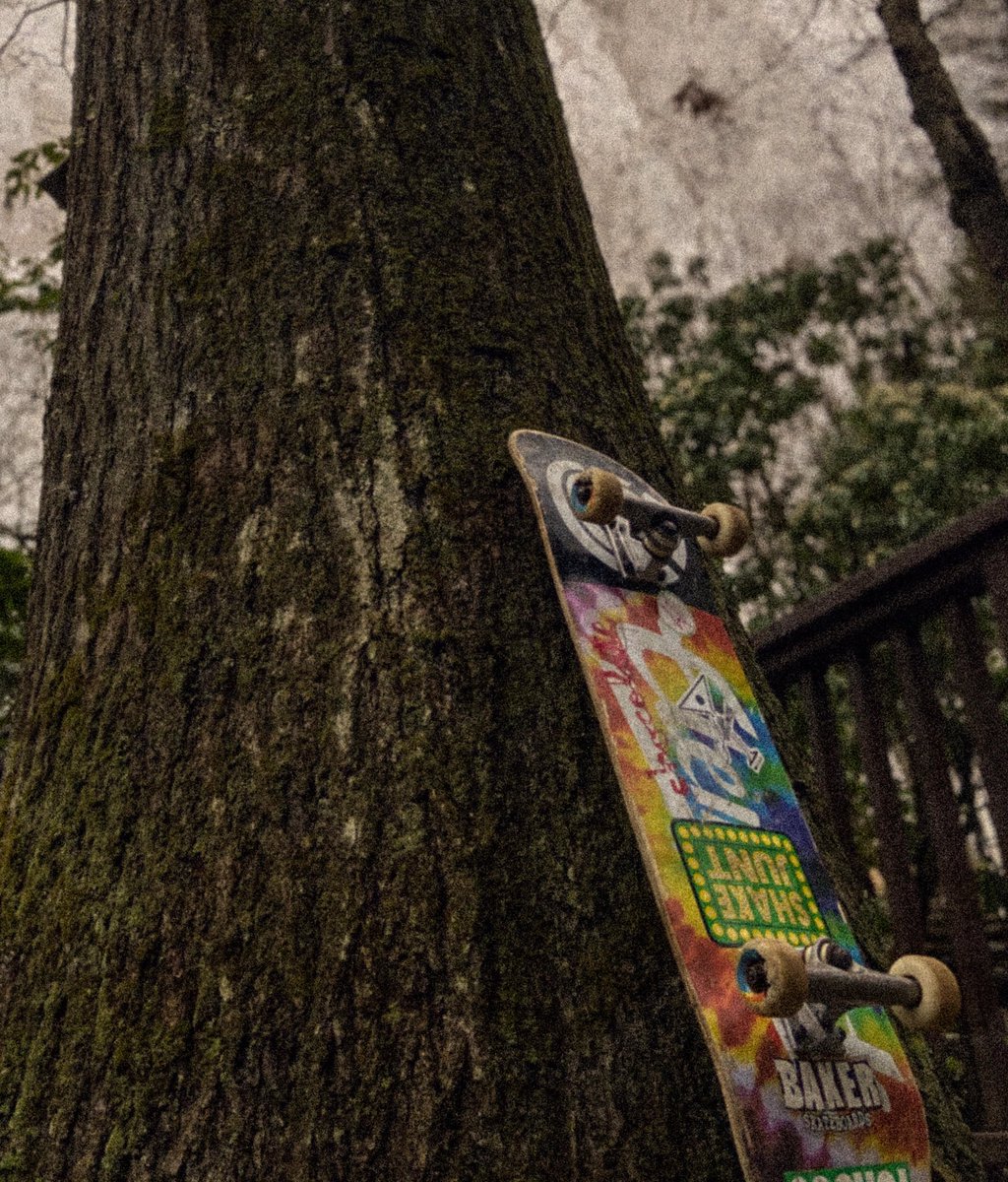 Mrwhitehead tweet media