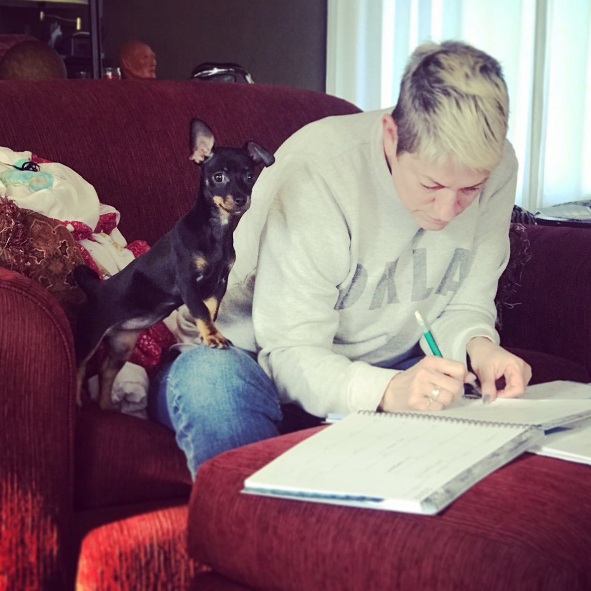 freemomhugs's tweet photo. Itโs Therapy Pet Thursday at Free Mom Hugs! Whether they have their certificate and backpack does not make for a therapy pet during these tough times. ALL of our critters are comforting us and keeping us sane. Share your pics today and use #fmhspiritweek so we can see them! https://t.co/PtD73CMeEs