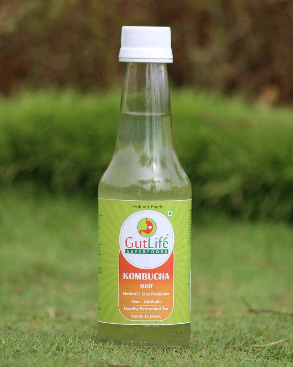 GutLifeWorld's tweet photo. #Mint:
A Rejuvenating Drink with Live #Probiotics and Culture, Contains #Antioxidant Compounds, #Antibacterial and #Antimicrobial Properties to Quench Your Thirst and #Hydrate You.

#newlaunch #newflavors #kombucha #medicinalflavors #ayurveda #newintown #kombuchainIndia #unique https://t.co/WTkZeLzwCw