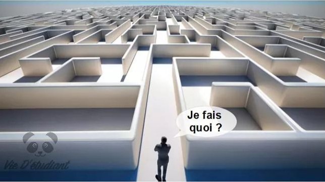 Moi qui révise les examens/concours sans savoir la date, s'ils sont annulés, reportés, si mes oraux ou mes écrits sont supprimés, si c'est en contrôle continu, si je vais les passer.