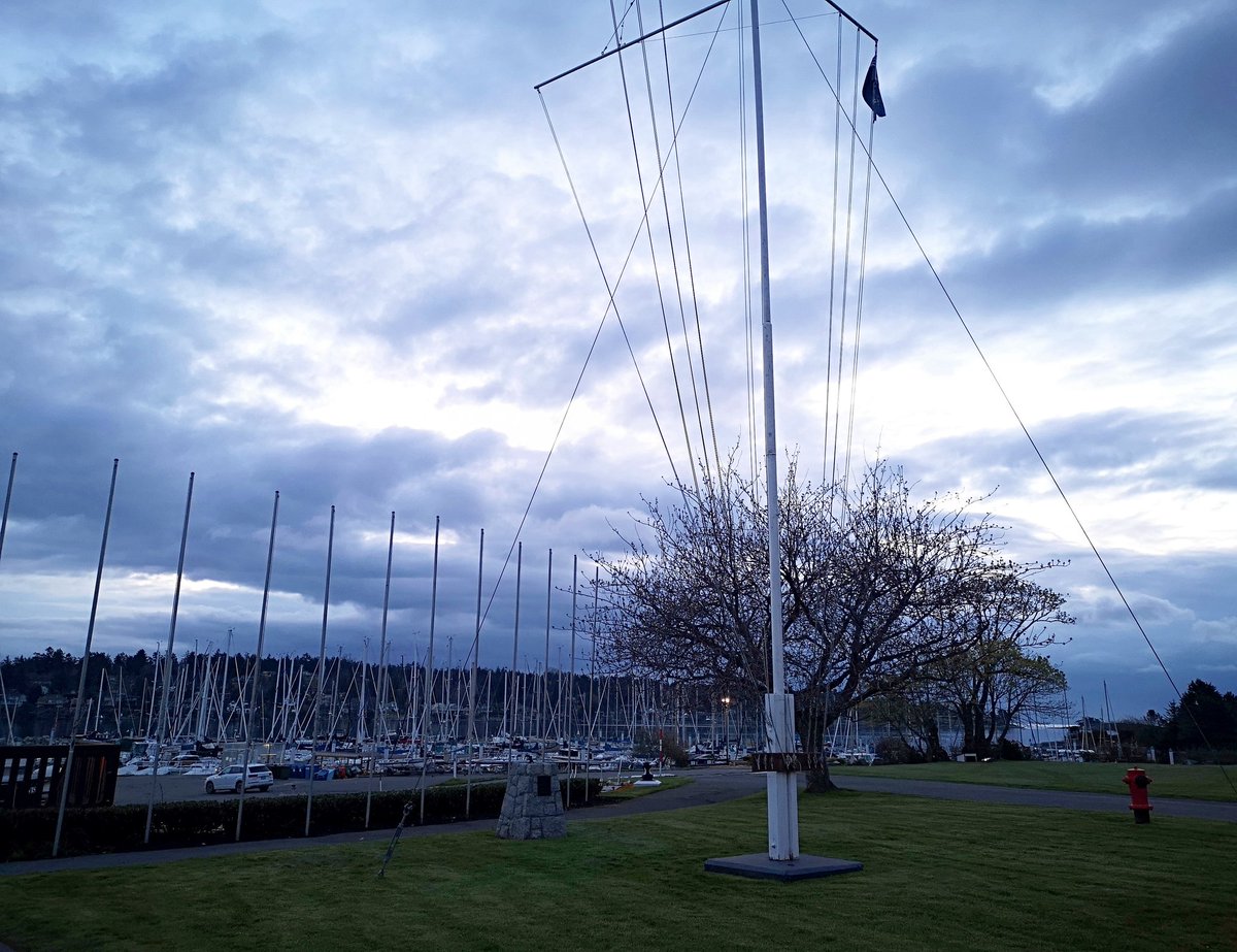 Royal Victoria YC tweet media