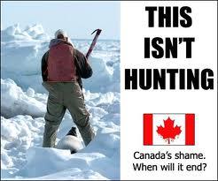 .@JustinTrudeau's constituency office contact info...All #Canadians should be appalled their #taxmoney goes to subsidize the #commercialsealhunt: 1100 Crémazie East, Suite 220 Montréal, Quebec H2P 2X2 Telephone: 514-277-6020 Fax: 514-277-3454 Email justin.trudeau@parl.gc.ca