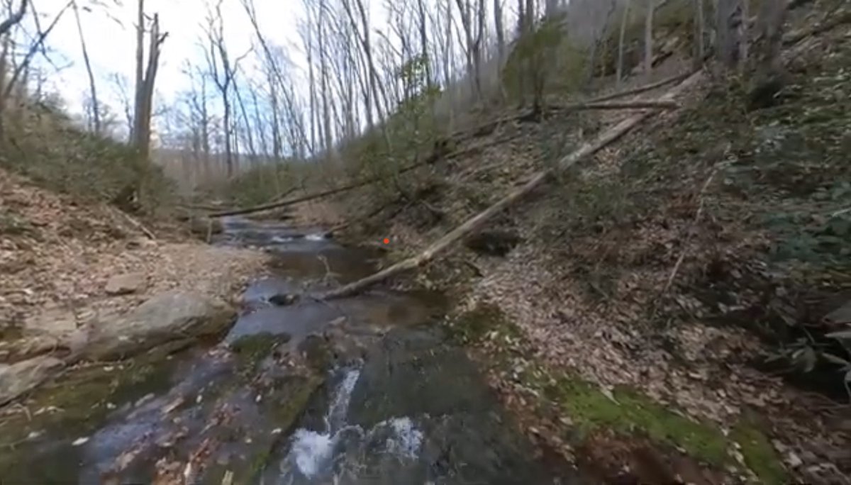 Put this trail on your to-do list! Reservoir Hollow Trail in #BuenaVistaVA is a lesser-known trail in our area. #GetOutside #later #VAOutdoors  

youtube.com/watch?v=qzVz_D…