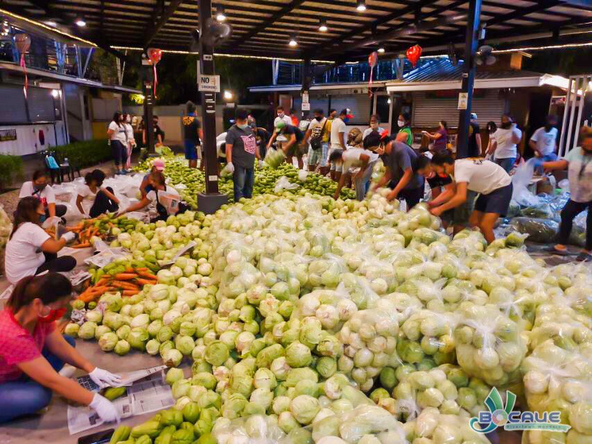 LOOK: Nire-repack ng lokal na pamahalaan ng Bocaue, Bulacan ang nasa 13,200 kilo ng assorted vegetables na binili mula sa mga Igorot farmers sa Bauko, Mt. Province. Ipamimigay ‘yan sa nasa 16,000 senior citizen sa kanilang bayan ( Bocaue LGU) |  @nicowaje