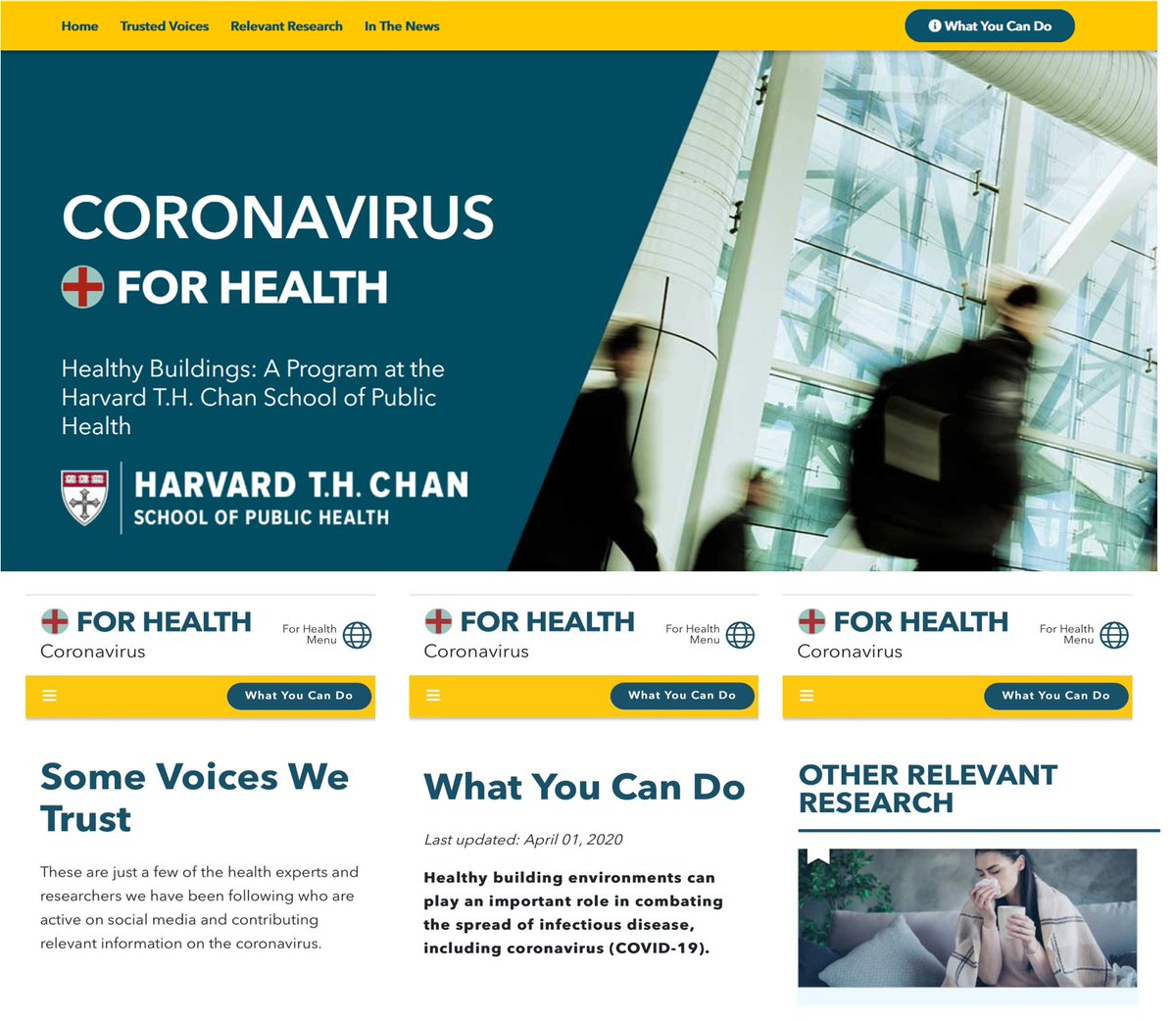 j_g_allen's tweet photo. Our Harvard #HealthyBuildings team created a #COVID19 site with tips on:

-home health
-cleaning/disinfection
-building ops
-food service
-public transportation

And links to *some* voices we trust

https://t.co/wvBc5VYEh2

Special thx to @MarissaVanry @Parichehr_S @maya_bliss https://t.co/MNTLqWf14l