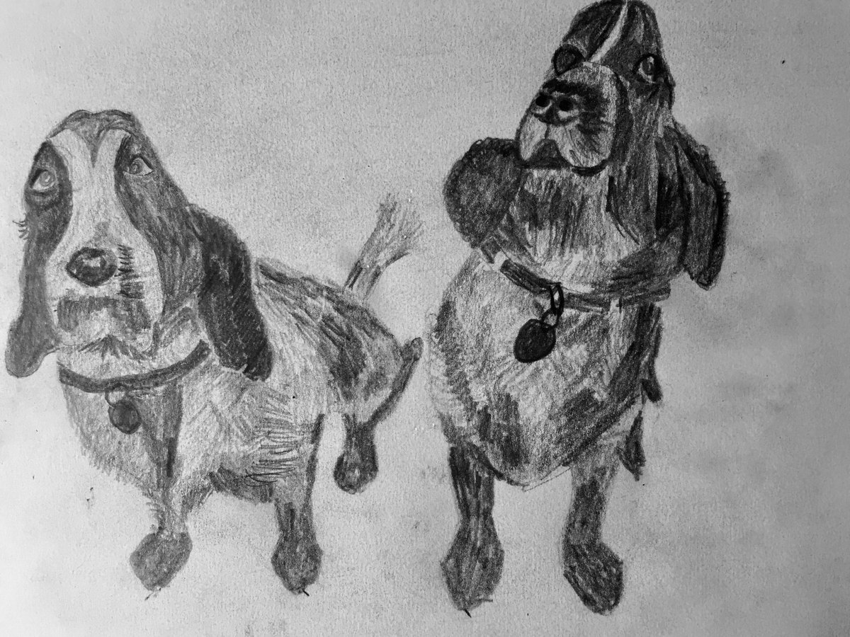 tgfd's tweet photo. #RAdailydoodle https://t.co/mJaBQ1oFZ2