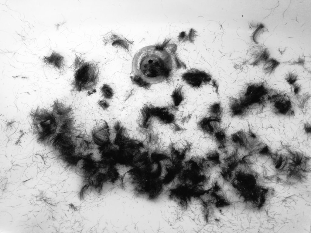 zsubzwary's tweet photo. #Quarantine Day 13:
Became my own barber 😂
(The haircut wasn’t perfect, but who’s gonna see it anyway…) https://t.co/G5IAJAefXH