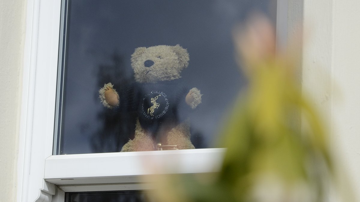 thisisAye's tweet photo. An @RCPEdin bear to spot in Falkirk #bearhunt2020 https://t.co/sKc7bxQUfb